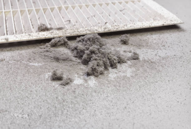 Best Emergency Air Duct Cleaning  in Primera, TX