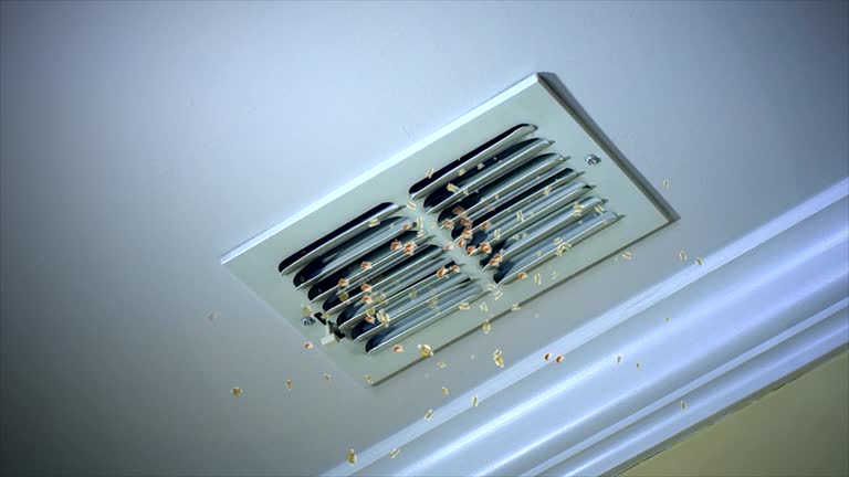 Best HVAC Duct Inspection Services  in Primera, TX