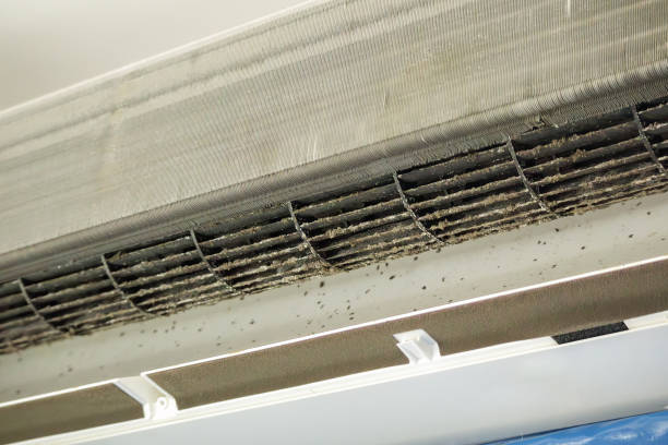 Best HVAC System Cleaning  in Primera, TX