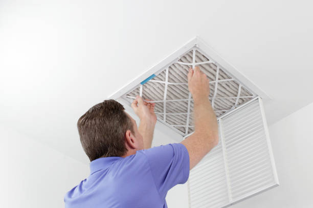 Air Duct Mold Removal in Primera, TX
